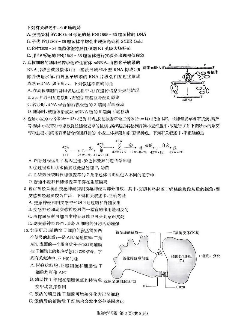 湖南省佩佩教育2024年普通高中学业水平选择性考试 湖南3月高三联考生物03