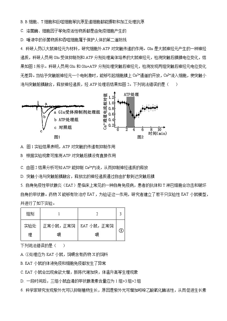 2024辽宁省名校联盟高二下学期3月联合考试生物含解析第2页