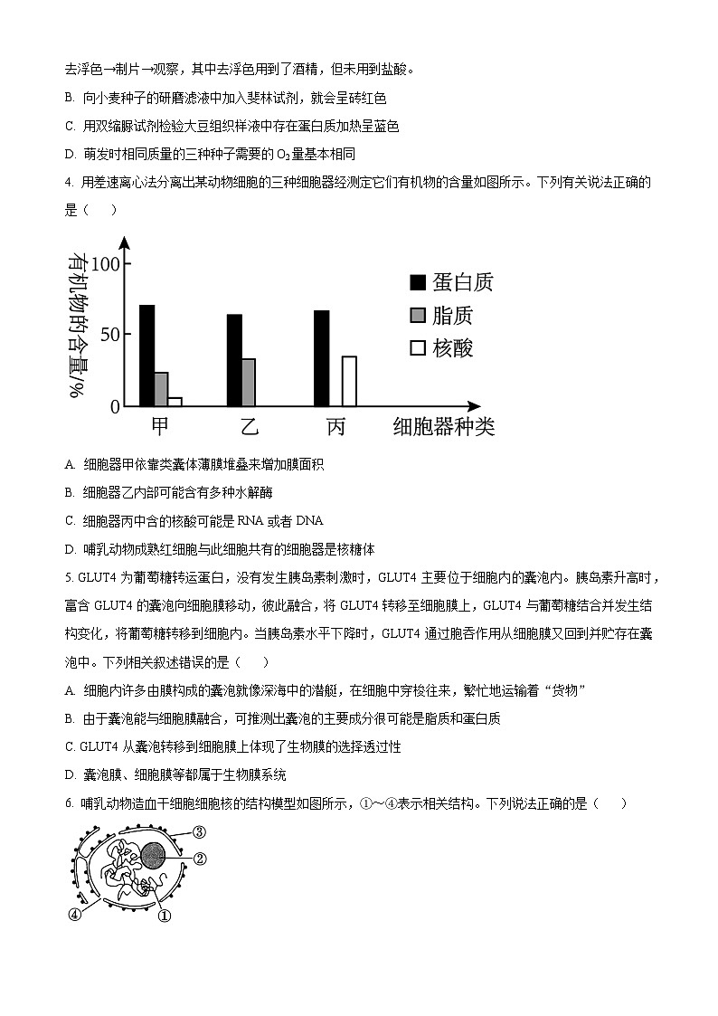 2024宜春宜丰中学高一下学期开学考试生物含解析02