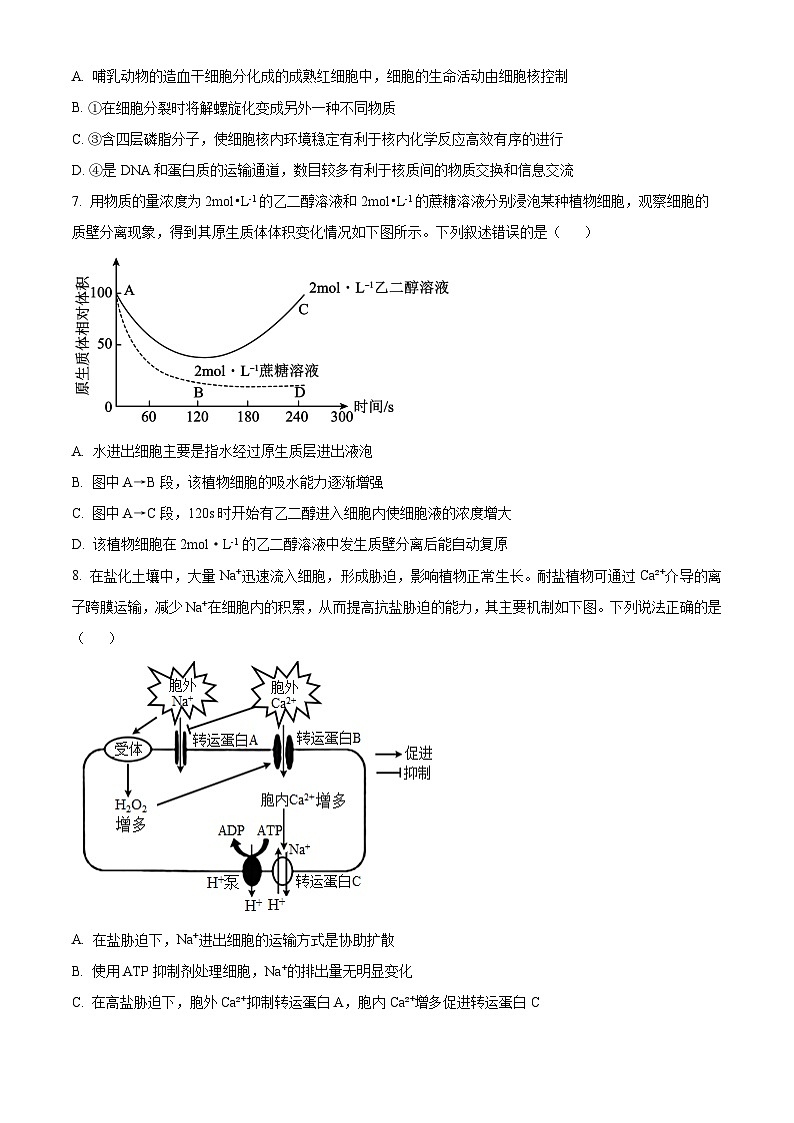 2024宜春宜丰中学高一下学期开学考试生物含解析03