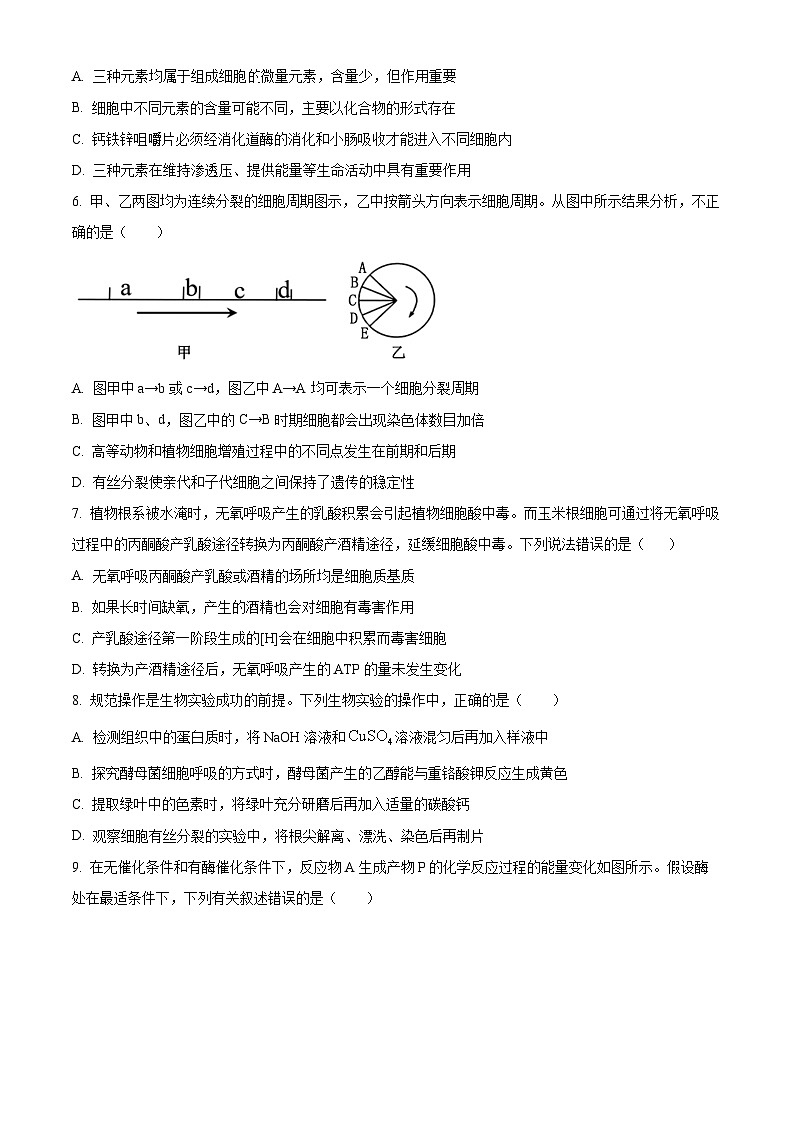 四川省眉山市仁寿县一中南校区2023-2024学年高一下学期3月月考生物试题（原卷版）第2页