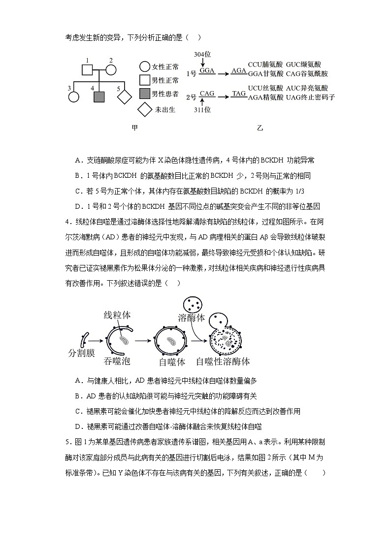 河南省漯河市源汇区漯河市高级中学2023-2024学年高三下学期3月月考生物试题第2页