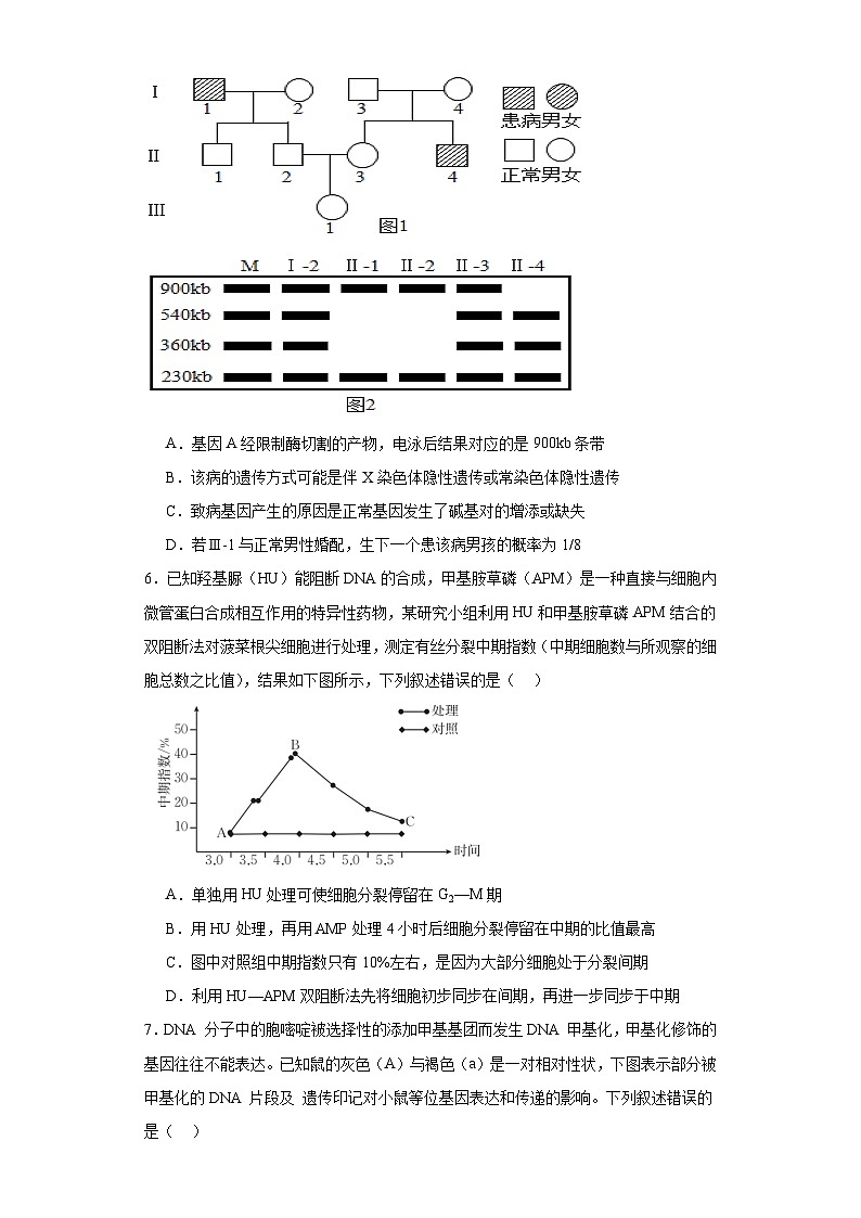 河南省漯河市源汇区漯河市高级中学2023-2024学年高三下学期3月月考生物试题第3页