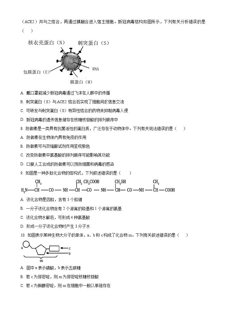 云南省丽江市润泽高级中学2023-2024学年高一下学期开学考试生物试题（原卷版+解析版）02