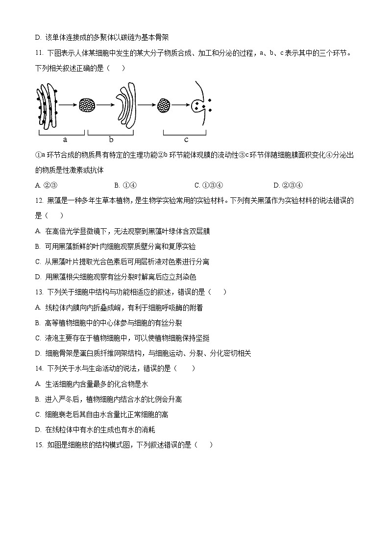 云南省丽江市润泽高级中学2023-2024学年高一下学期开学考试生物试题（原卷版+解析版）03