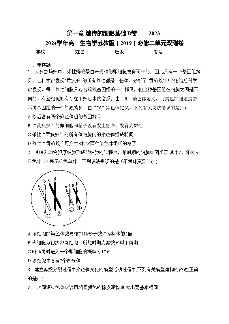 第一章 遗传的细胞基础 B卷——2023-2024学年高一生物学苏教版（2019）必修二单元双测卷(含答案)第1页