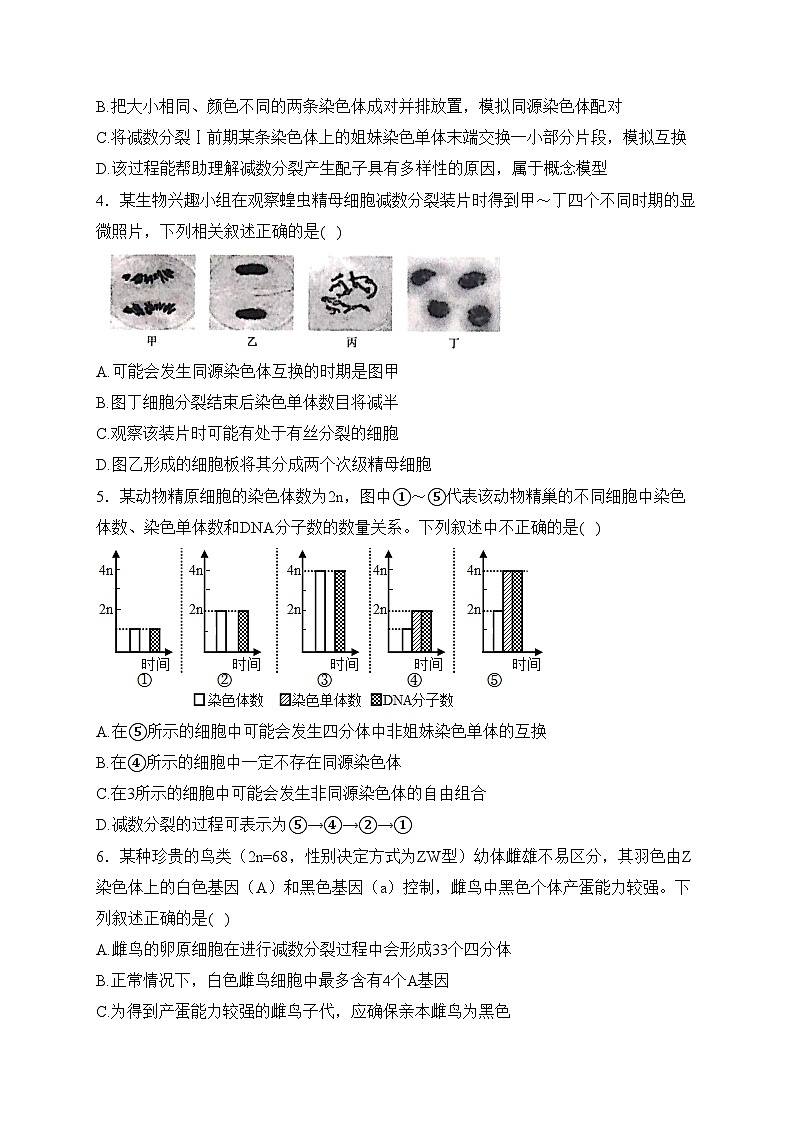 第一章 遗传的细胞基础 B卷——2023-2024学年高一生物学苏教版（2019）必修二单元双测卷(含答案)第2页