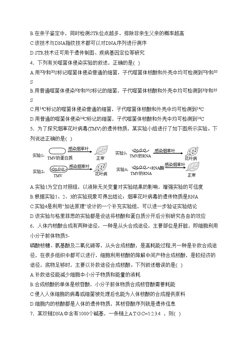 第一章 遗传信息的分子基础 A卷——2023-2024学年高一生物学北师大版（2019）必修二单元双测卷(含答案)02