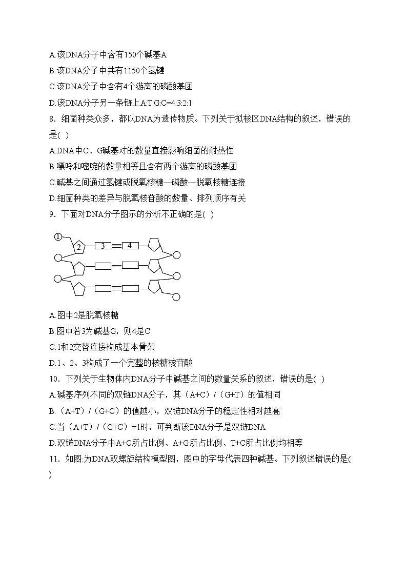 第一章 遗传信息的分子基础 A卷——2023-2024学年高一生物学北师大版（2019）必修二单元双测卷(含答案)03