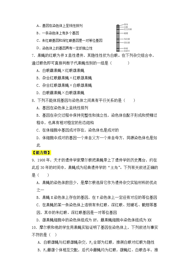 人教版高中生物必修二2.2基因在染色体上同步练习（含答案解析）第2页