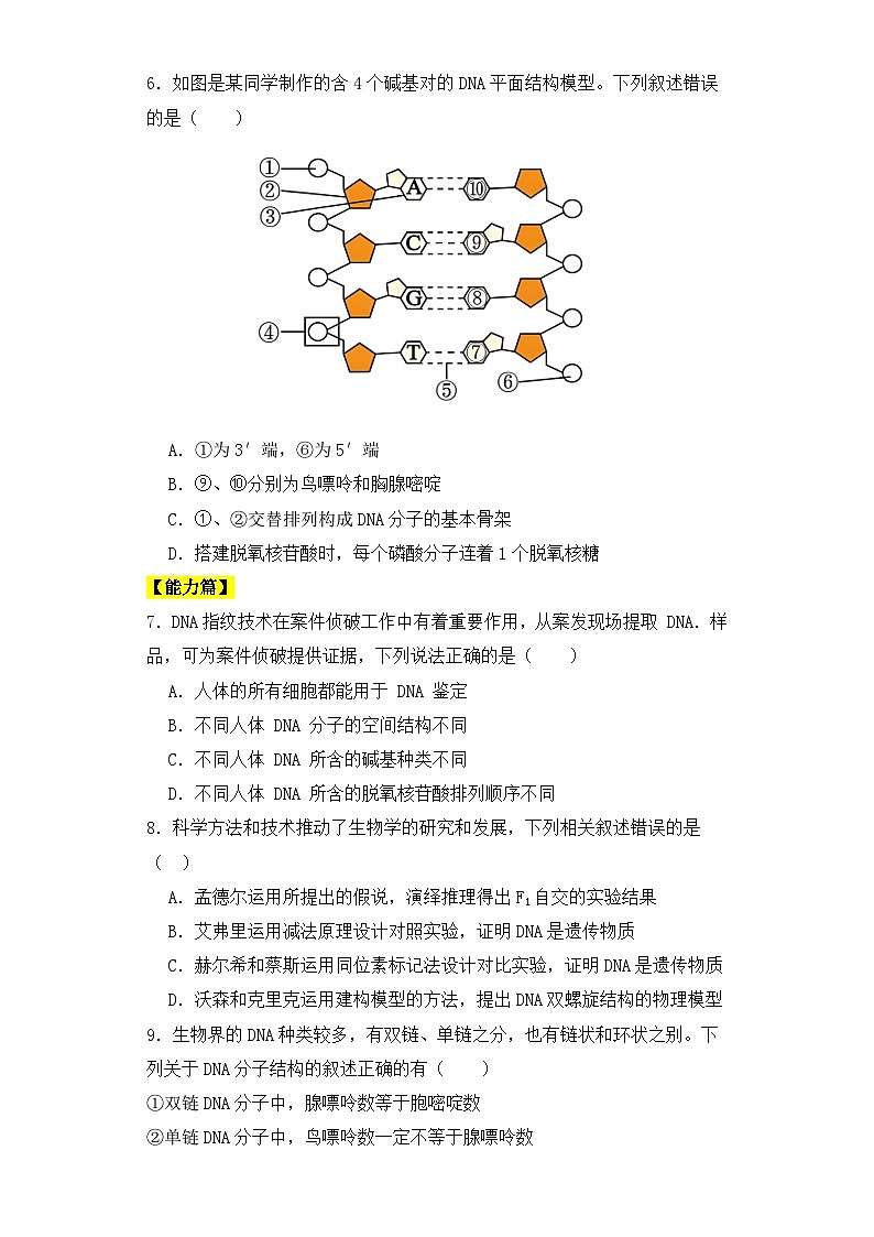 人教版高中生物必修二3.2DNA的结构同步练习（含答案解析）第2页