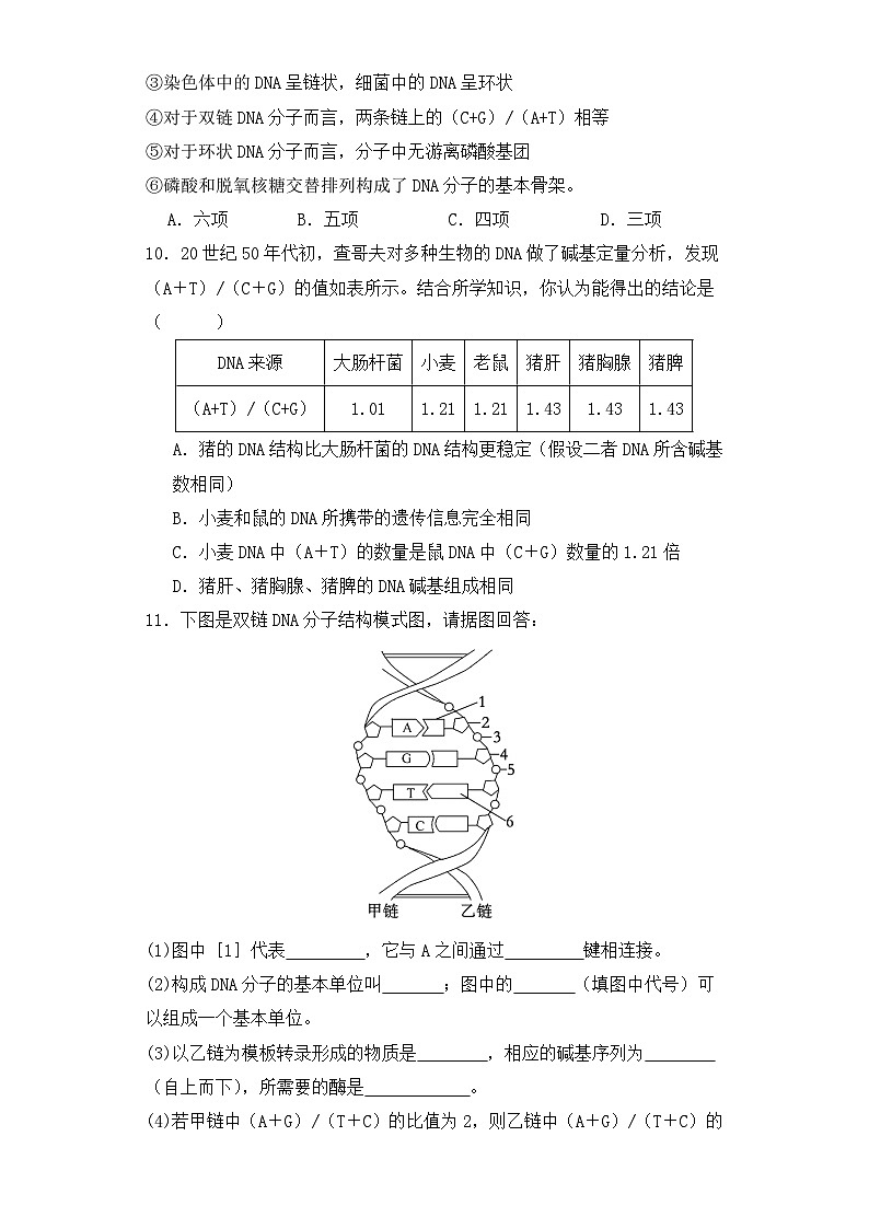 人教版高中生物必修二3.2DNA的结构同步练习（含答案解析）第3页
