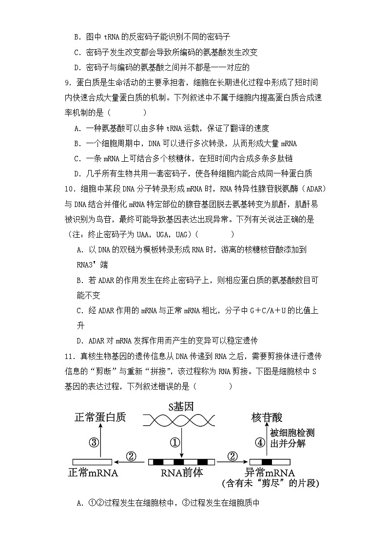 人教版高中生物必修二4.1基因指导蛋白质的合成（第二课时）同步练习（含答案解析）第3页