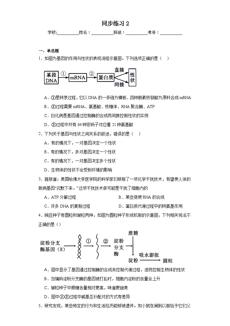 人教版高中生物必修二4.2基因表达与性状的关系同步练习（含答案解析）第1页
