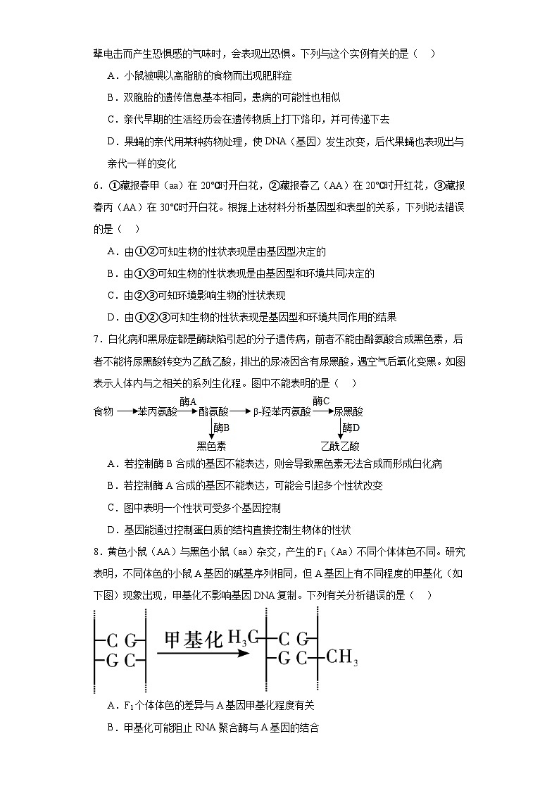 人教版高中生物必修二4.2基因表达与性状的关系同步练习（含答案解析）第2页