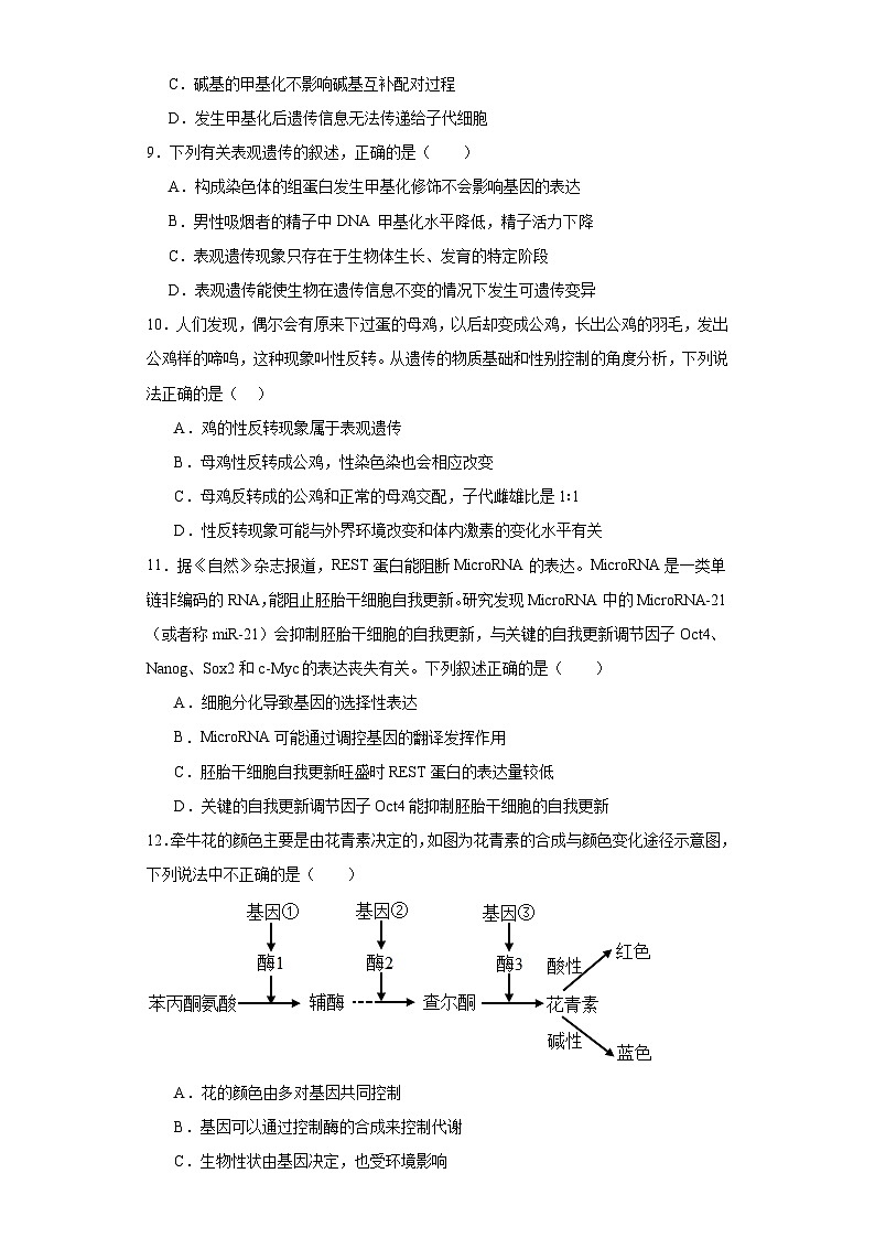 人教版高中生物必修二4.2基因表达与性状的关系同步练习（含答案解析）第3页