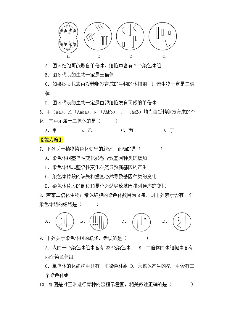 人教版高中生物必修二5.2染色体变异（第1课时）同步练习（含答案解析）第2页