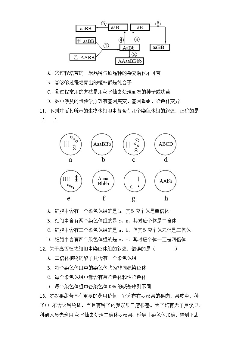 人教版高中生物必修二5.2染色体变异（第1课时）同步练习（含答案解析）第3页
