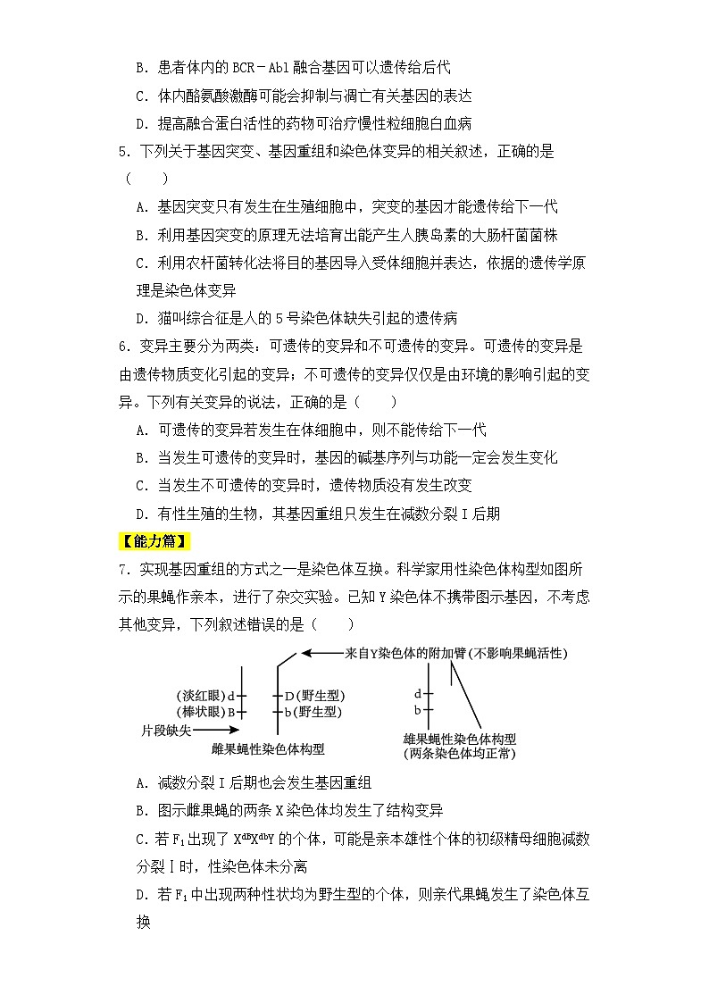人教版高中生物必修二5.2染色体变异（第2课时）同步练习（含答案解析）第2页