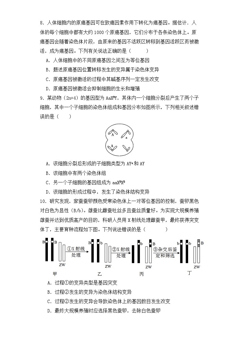 人教版高中生物必修二5.2染色体变异（第2课时）同步练习（含答案解析）第3页