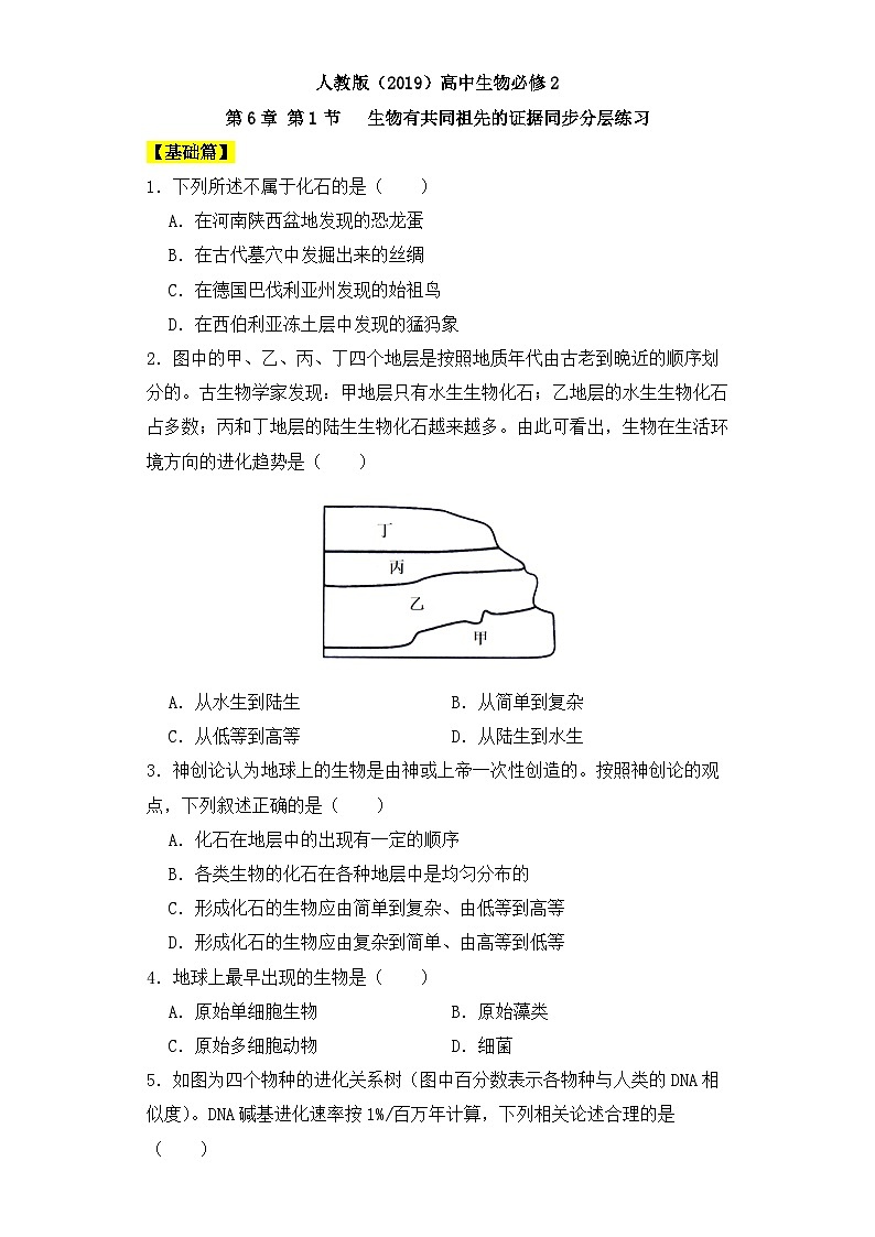 人教版高中生物必修二6.1生物有共同祖先的证据同步分层练习（含答案解析）01