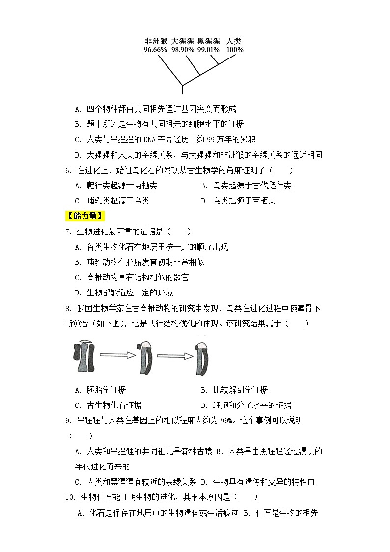 人教版高中生物必修二6.1生物有共同祖先的证据同步分层练习（含答案解析）02