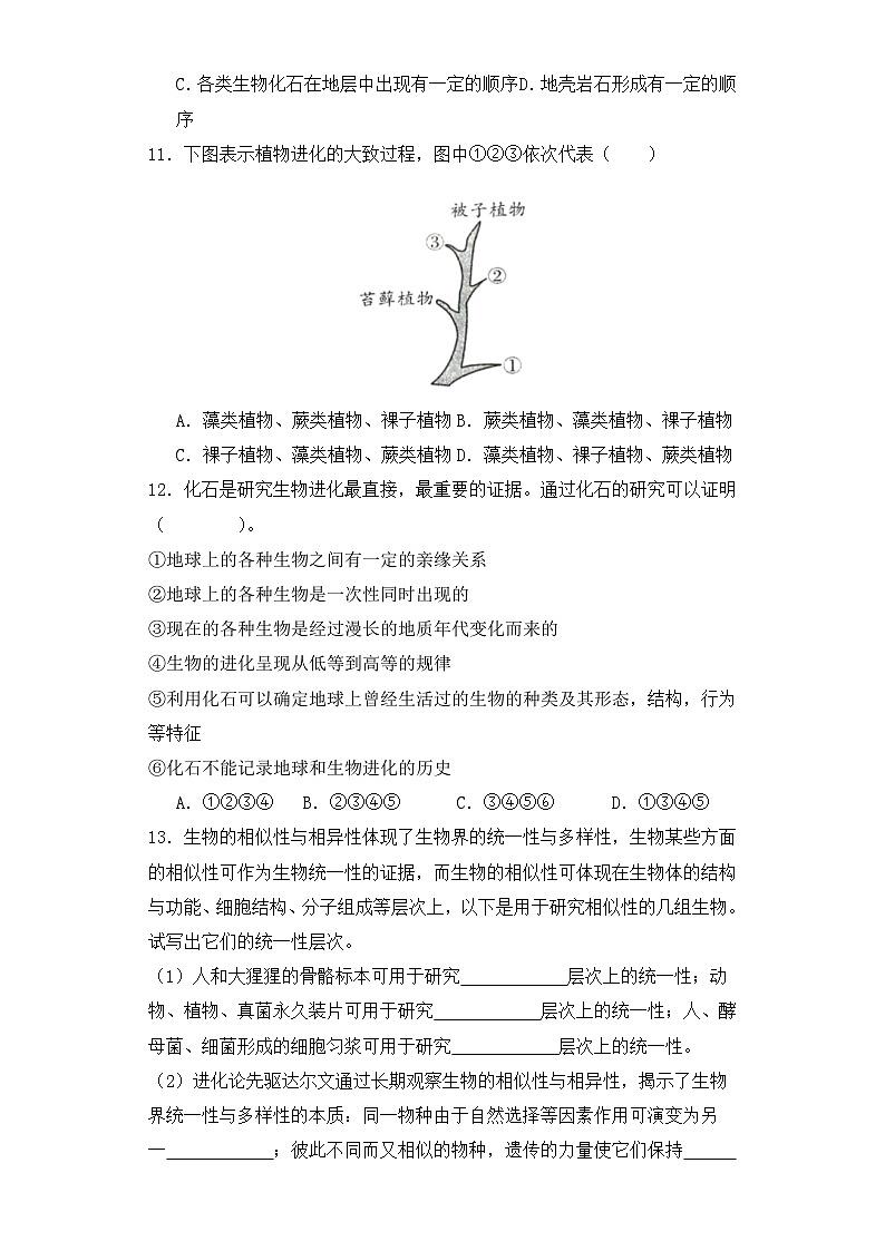 人教版高中生物必修二6.1生物有共同祖先的证据同步分层练习（含答案解析）03