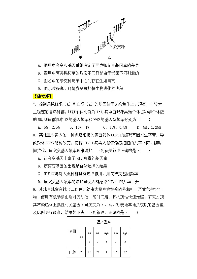 人教版高中生物必修二6.3.1 种群基因组成的变化同步练习（含答案解析）第2页