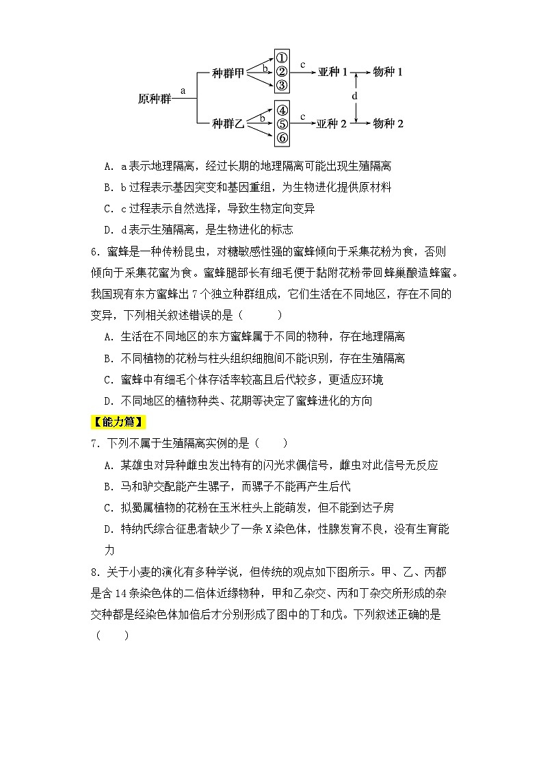 人教版高中生物必修二6.3.2 隔离在物种形成中的作用同步练习（含答案解析）第2页