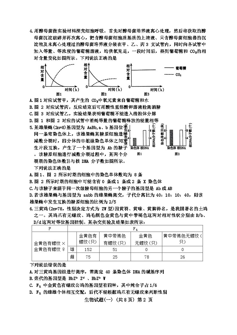 2024届山东省聊城市高三一模生物试题02