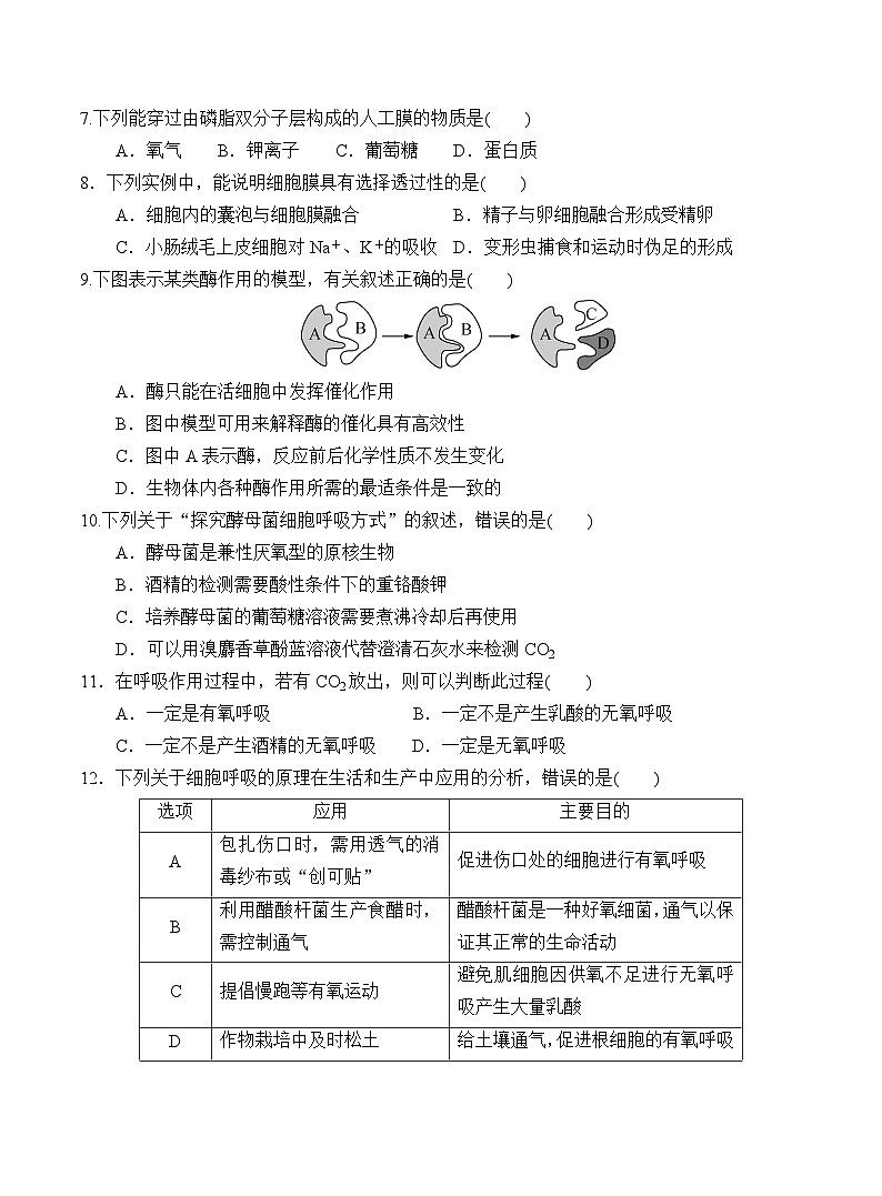 广东省广州市番禺区某校2023-2024学年高一上学期12月月考生物试题02