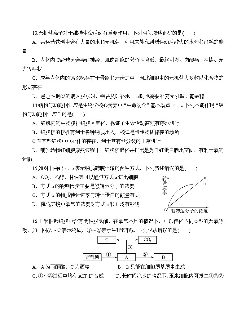 广东省广州市番禺区某校2023-2024学年高一上学期12月月考生物试题03