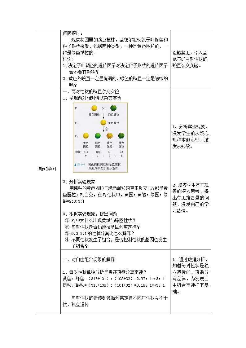 高一生物学人教版必修2孟德尔的豌豆杂交实验（二）（1）教案第2页