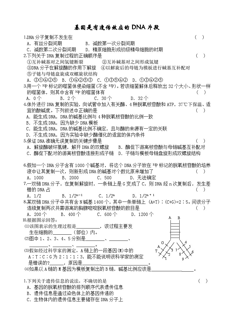 人教版高中生物必修二基因是有遗传效应的DNA片段课后练习第1页