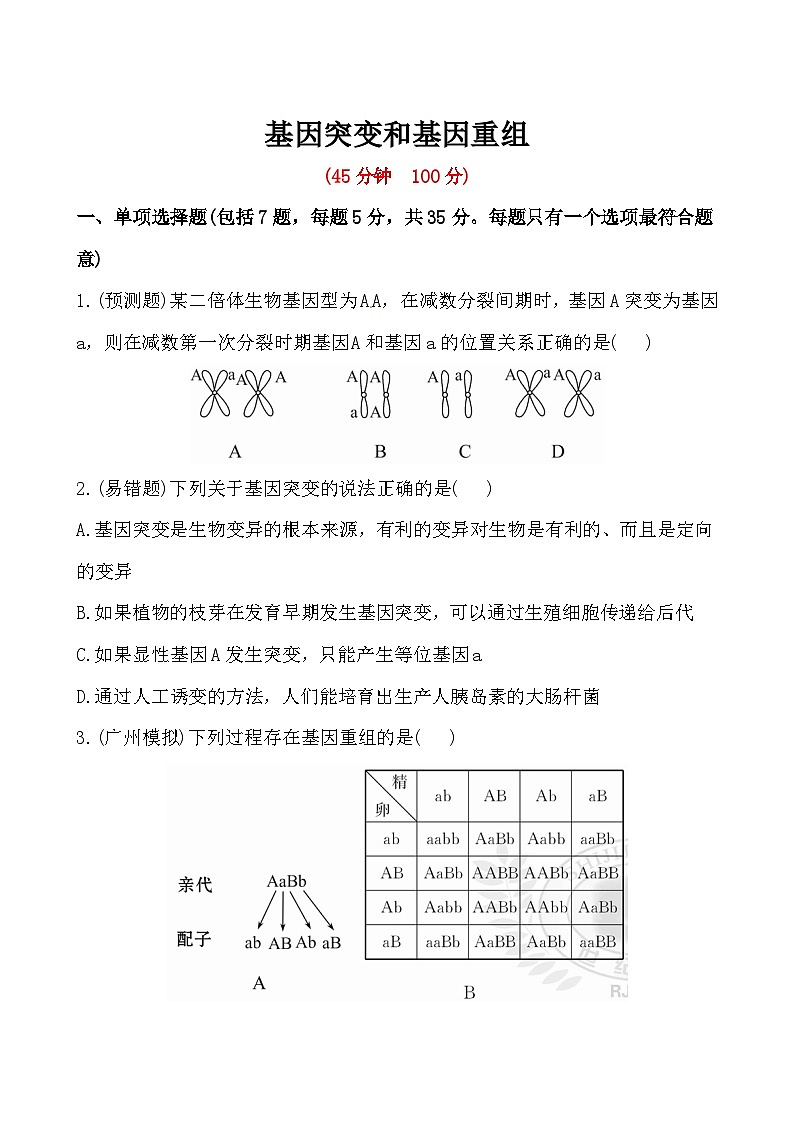 人教版高中生物必修二基因突变和基因重组课后练习含答案01