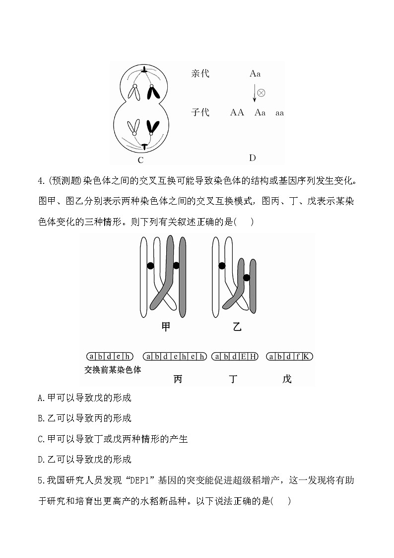 人教版高中生物必修二基因突变和基因重组课后练习含答案02