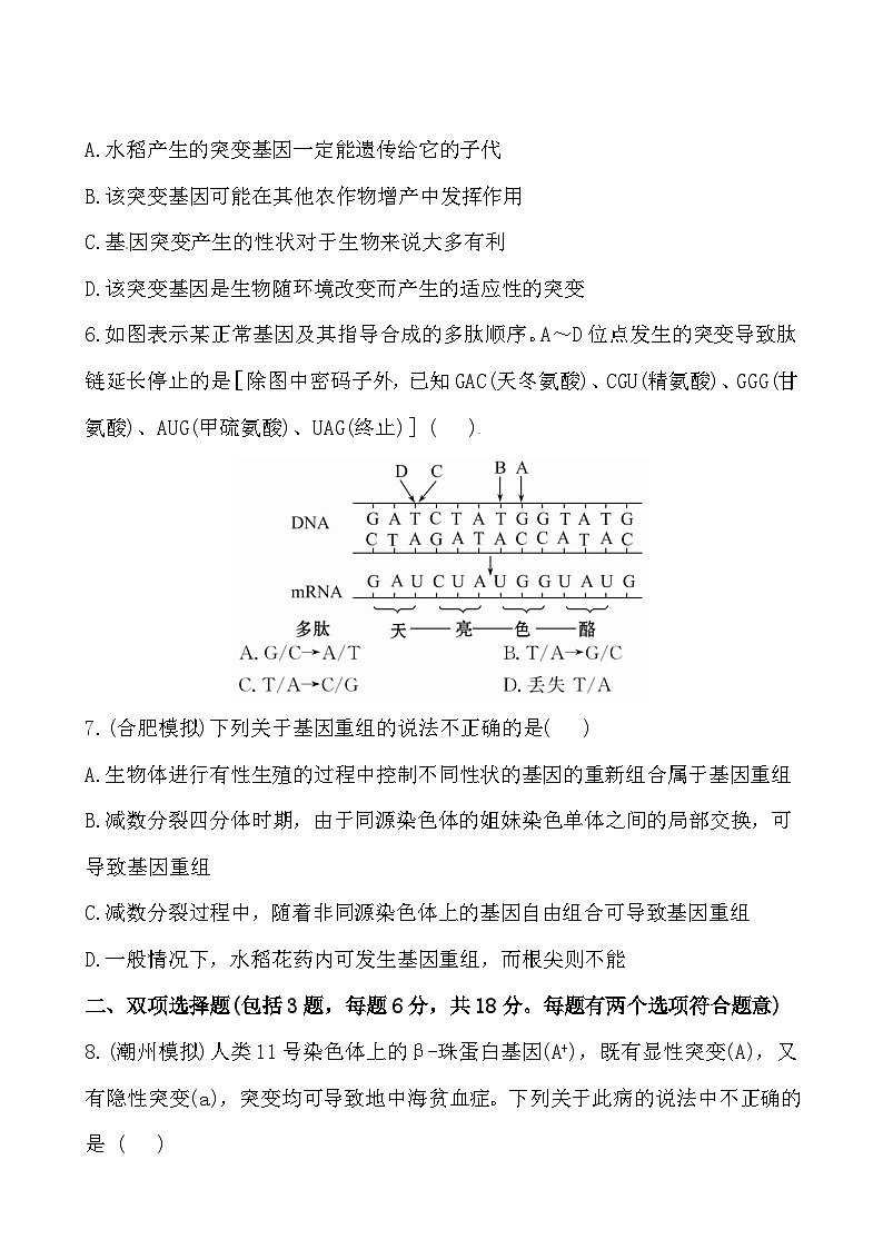 人教版高中生物必修二基因突变和基因重组课后练习含答案03