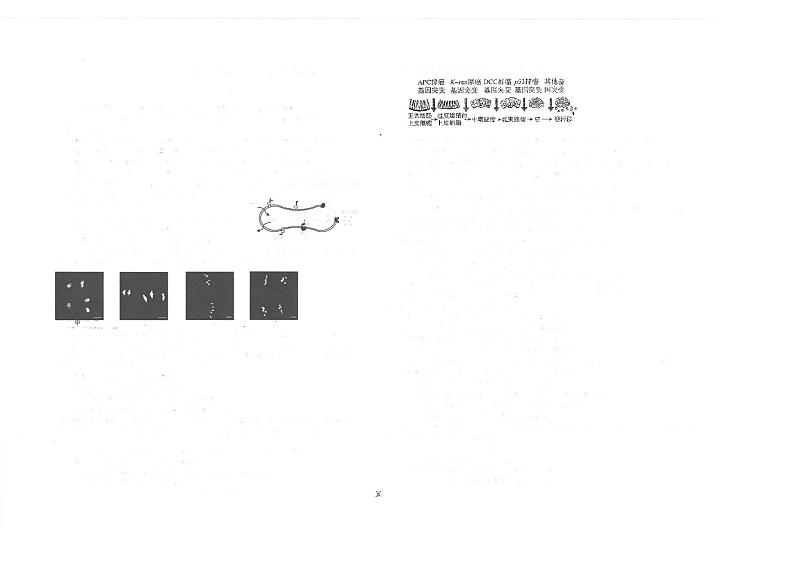 江苏省海安2023_2024高三生物上学期11月联考试题01