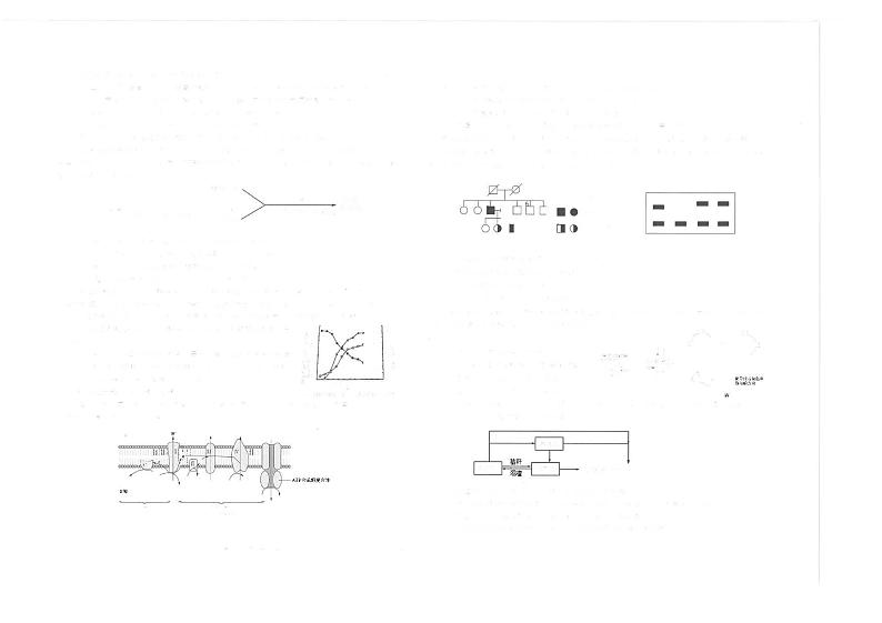 江苏省海安2023_2024高三生物上学期11月联考试题02