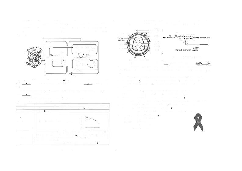 江苏省海安2023_2024高三生物上学期11月联考试题03
