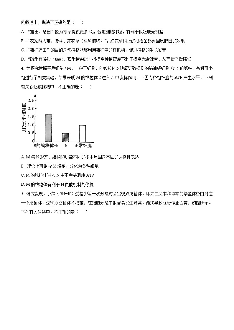 2024届湖南省张家界市2024年高三二模生物试题  Word版无答案第2页