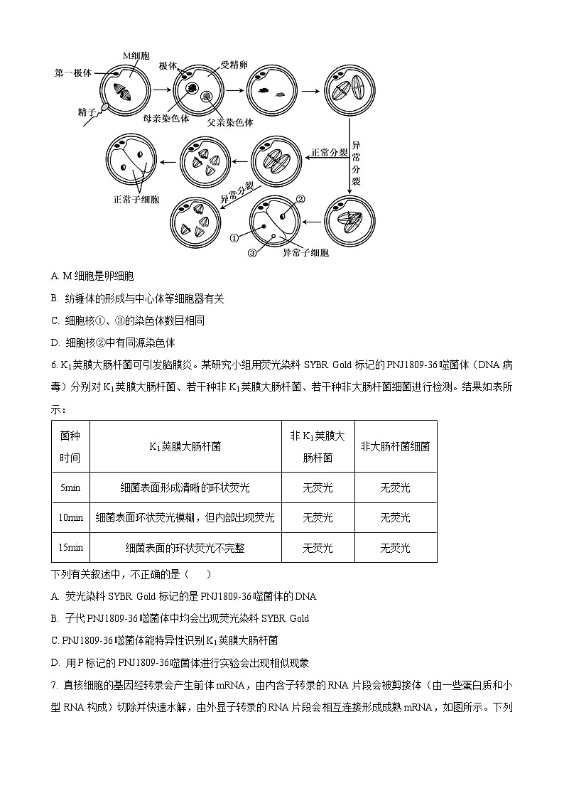 2024届湖南省张家界市2024年高三二模生物试题  Word版无答案第3页