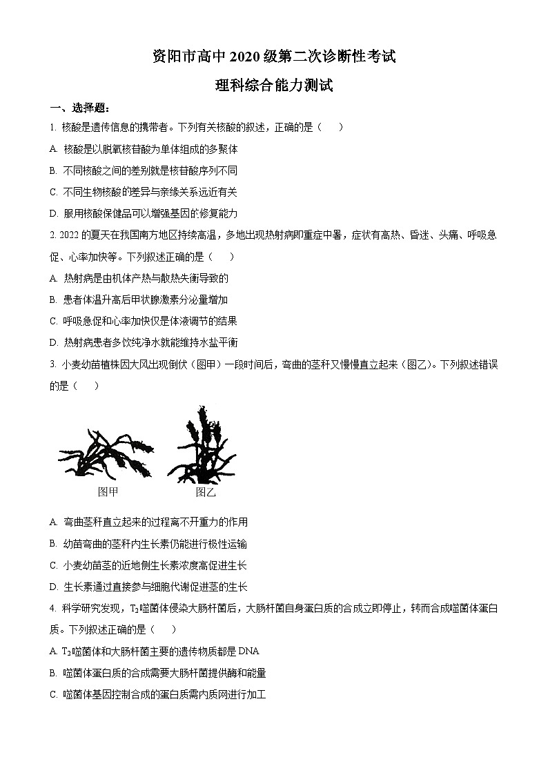 四川省资阳市2023届高三上学期第二次诊断考试理综生物试卷（Word版附解析）01