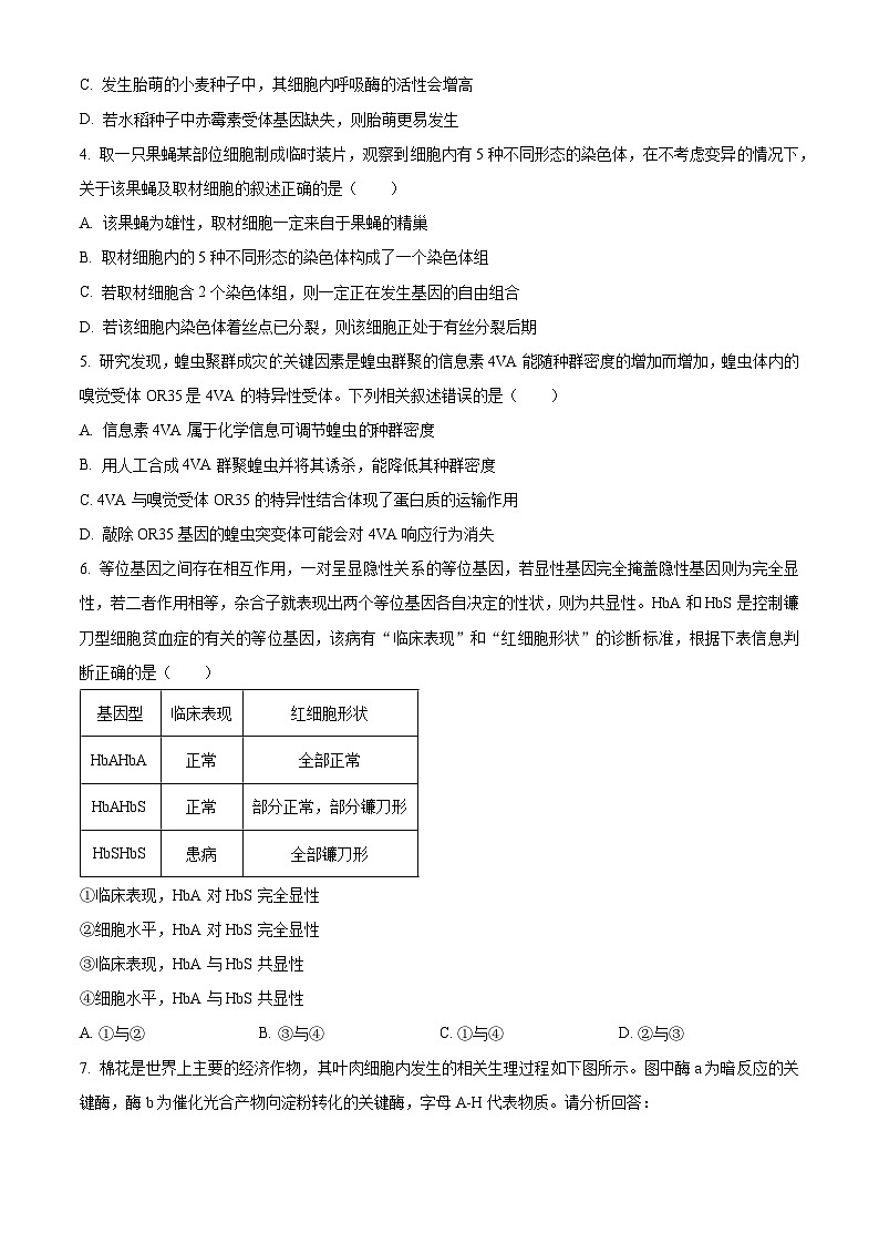 四川省泸州市2023届高三下学期二模理综生物试卷（Word版附解析）02