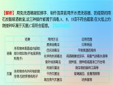 2025版高考生物一轮复习真题精练第十一章生物技术与工程第38练微生物的培养技术及应用课件