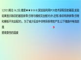 2025版高考生物一轮复习真题精练第十一章生物技术与工程第41练基因工程及生物技术的安全性和伦理问题课件