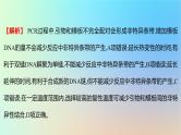 2025版高考生物一轮复习真题精练第十一章生物技术与工程第41练基因工程及生物技术的安全性和伦理问题课件