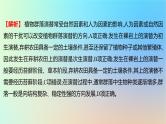 2025版高考生物一轮复习真题精练第十章生物与环境第35练群落及其演替课件