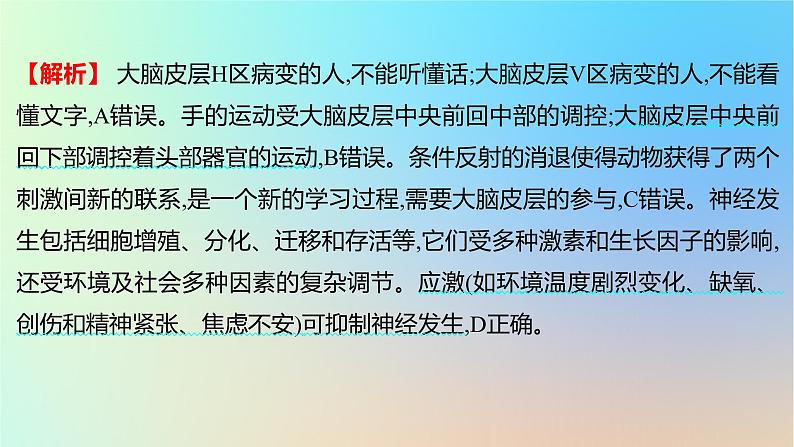 2025版高考生物一轮复习真题精练第八章动物生命活动的调节第28练神经调节课件03