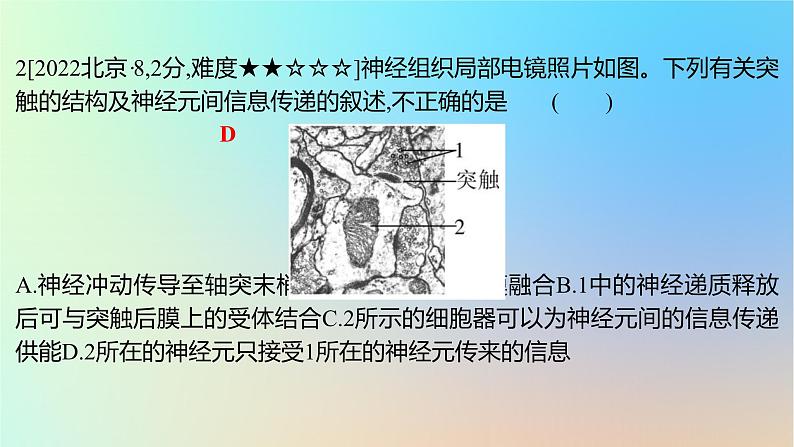 2025版高考生物一轮复习真题精练第八章动物生命活动的调节第28练神经调节课件04